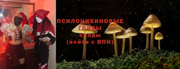 марки lsd Абаза