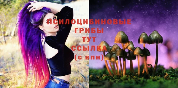 марки lsd Абаза