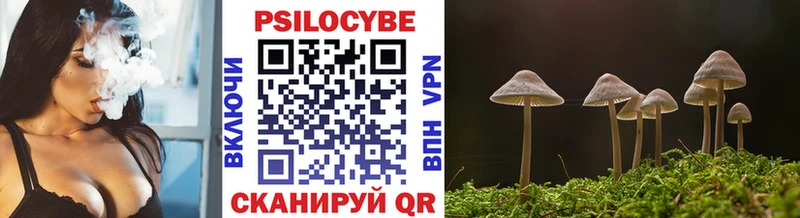 дарнет шоп Монино Псилоцибиновые грибы мухоморы